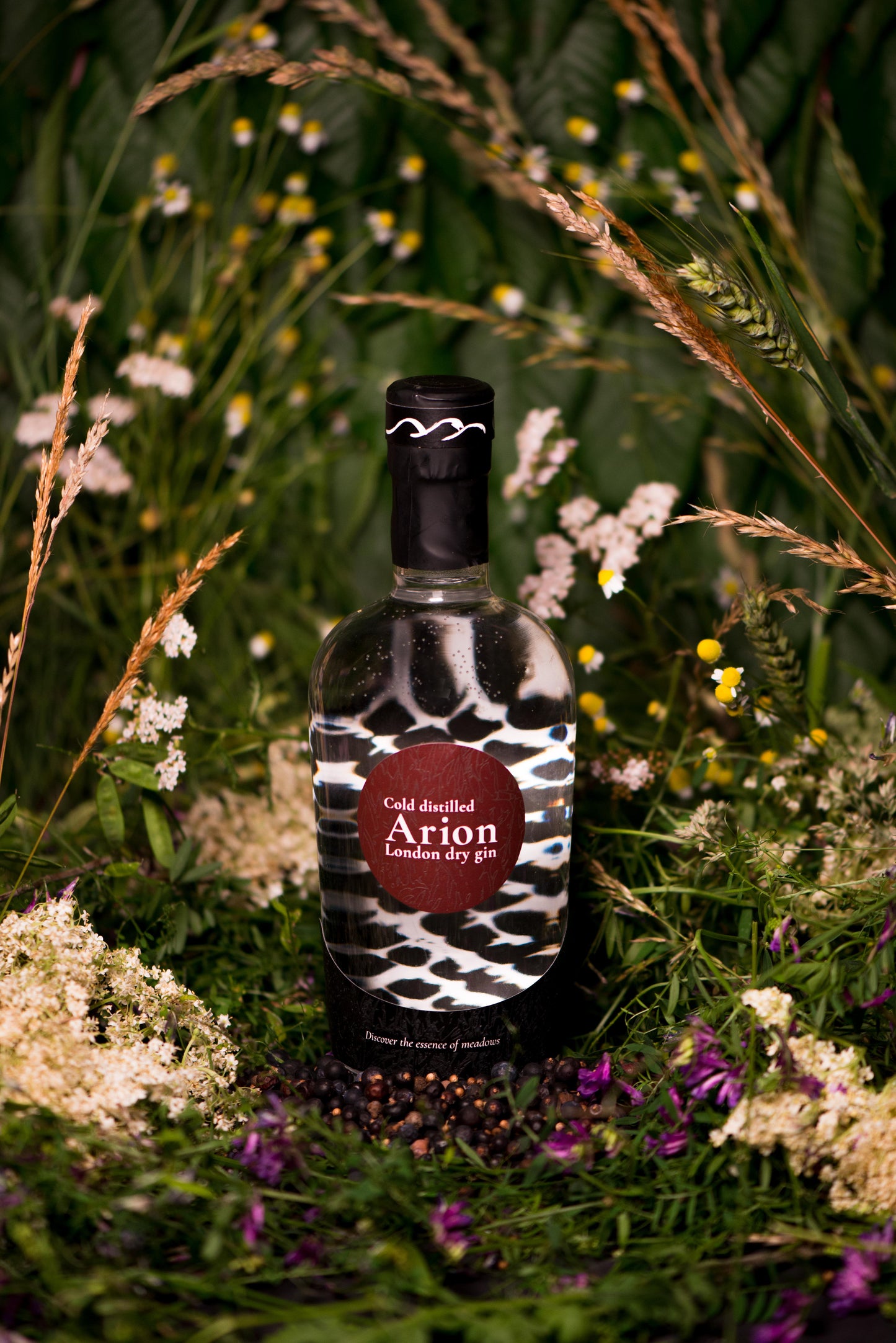 Arion